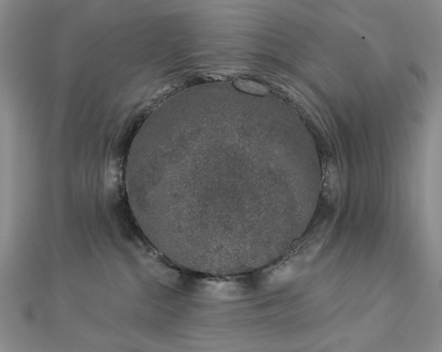 X0000112780284200908271710