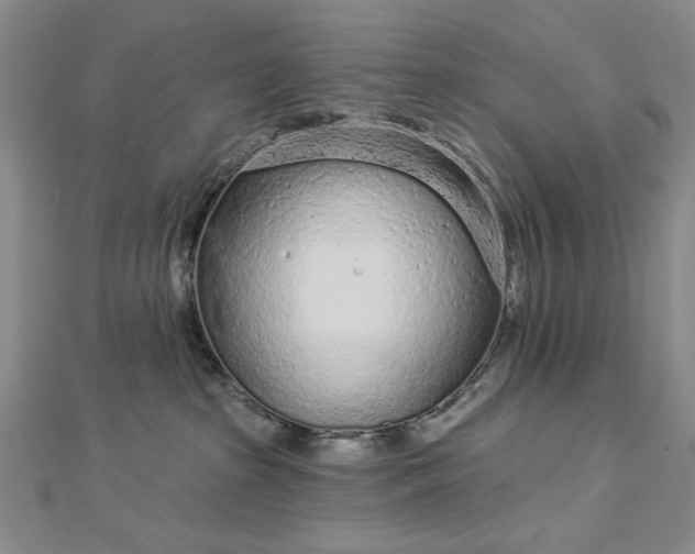 X0000112780285200908271710