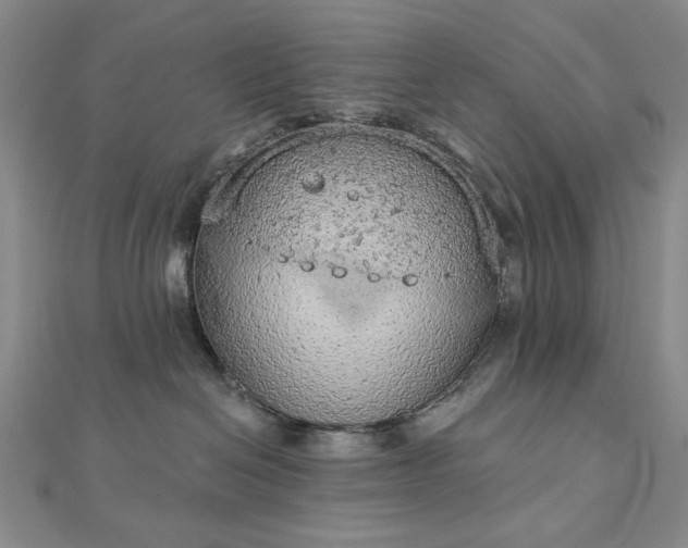 X0000112780286200908271710