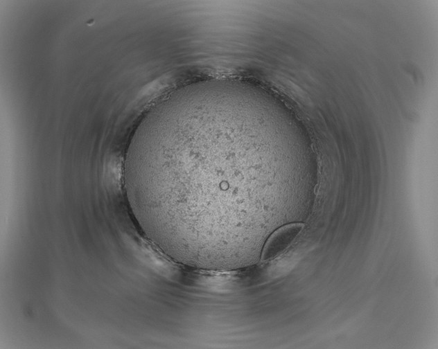 X0000112780288200908271710