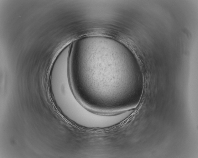 X0000112780289200908271709