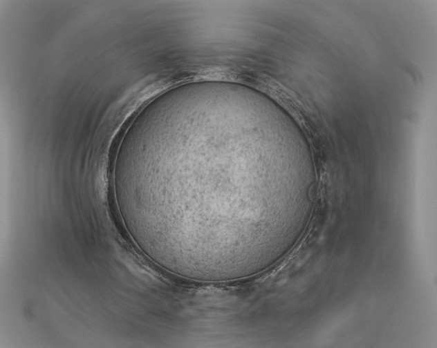 X0000112780290200908271709