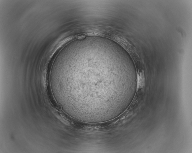 X0000112780291200908271709