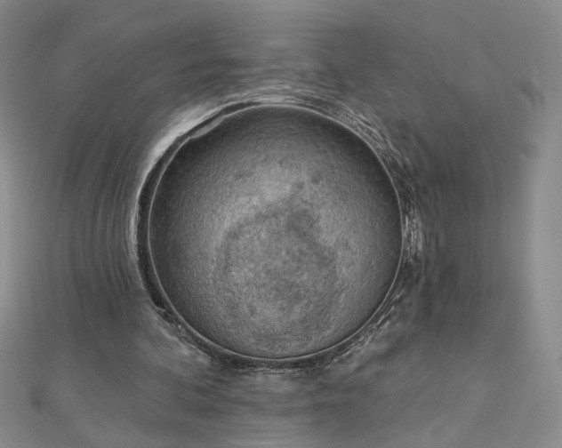 X0000112780292200908271709