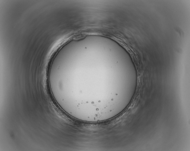 X0000112780293200908271709