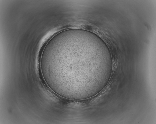 X0000112780294200908271709