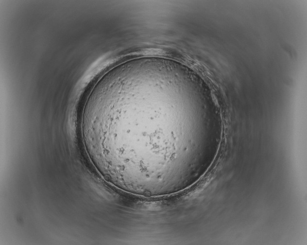 X0000112780295200908271709