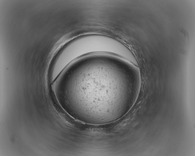 X0000112780296200908271709