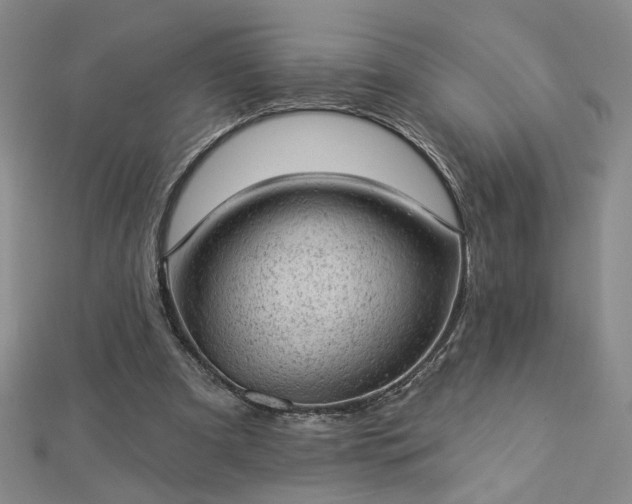 X0000112780297200908271709