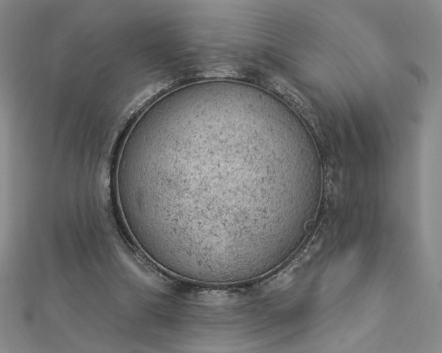 X0000112780298200908271709