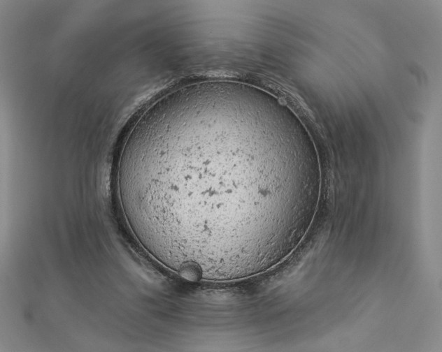 X0000112780299200908271709