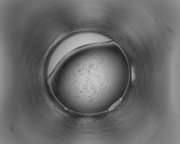 X0000112780300200908271709