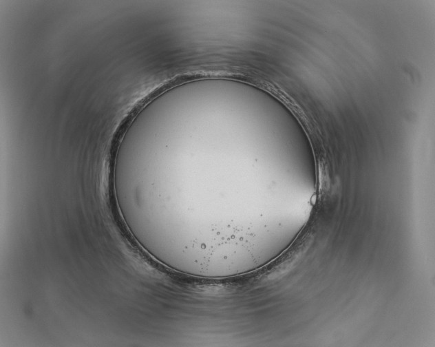 X0000112780301200908271709