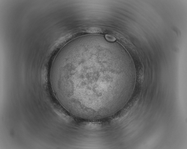 X0000112780303200908271709