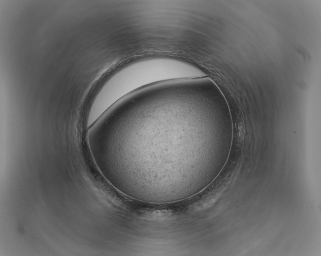 X0000112780304200908271709