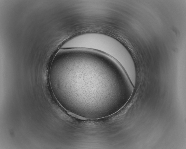 X0000112780305200908271709