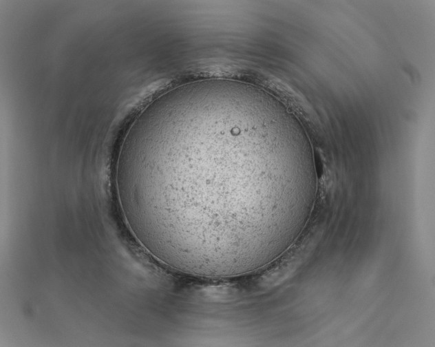 X0000112780306200908271709