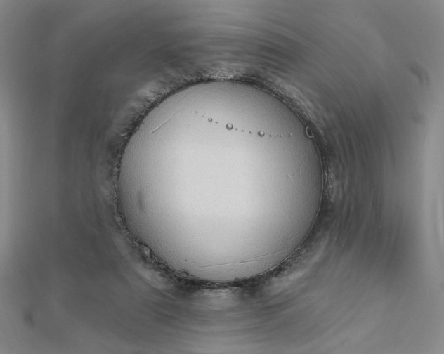 X0000112780307200908271709