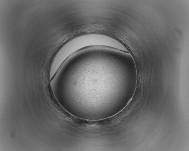 X0000112780309200908271709