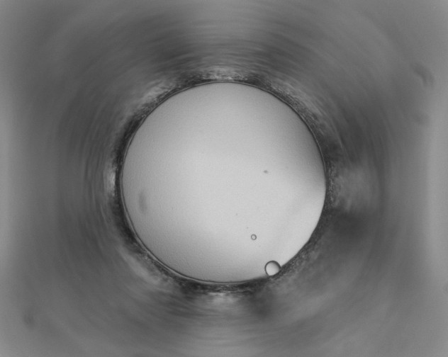 X0000112780310200908271709