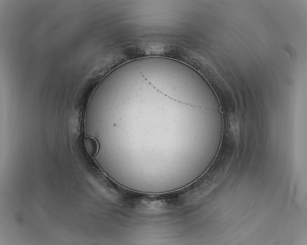 X0000112780311200908271709