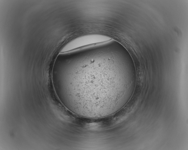 X0000112780312200908271709