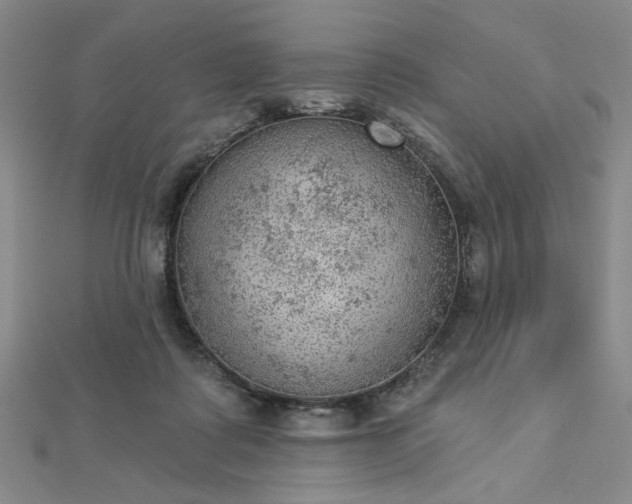 X0000112780315200908271709