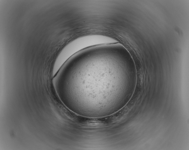 X0000112780316200908271709