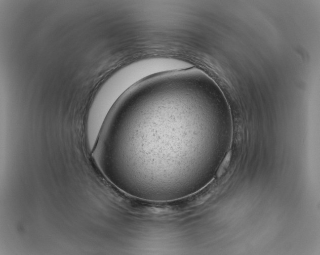 X0000112780317200908271709