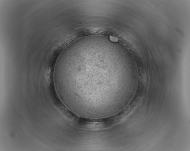 X0000112780319200908271709