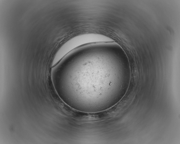 X0000112780320200908271709