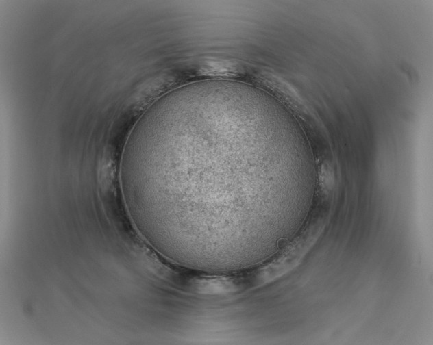 X0000112780322200908271709