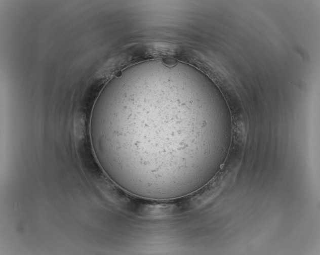 X0000112780323200908271709