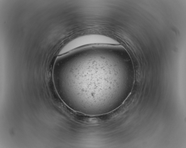 X0000112780324200908271709