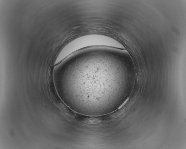 X0000112780327200908271709