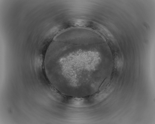 X0000112780328200908271709