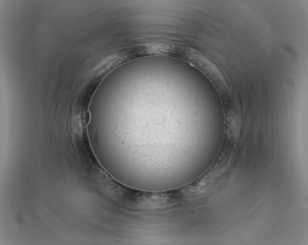 X0000112780329200908271709