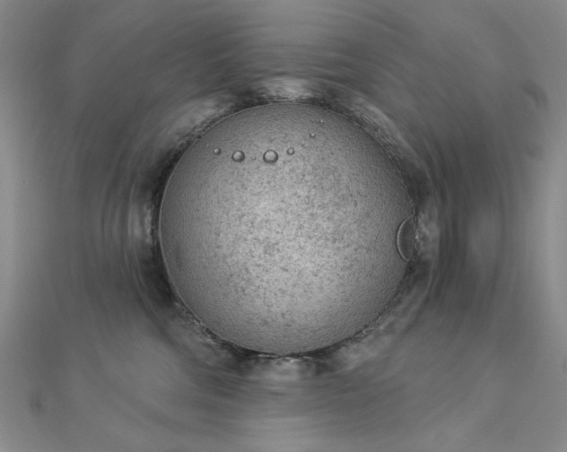 X0000112780330200908271709