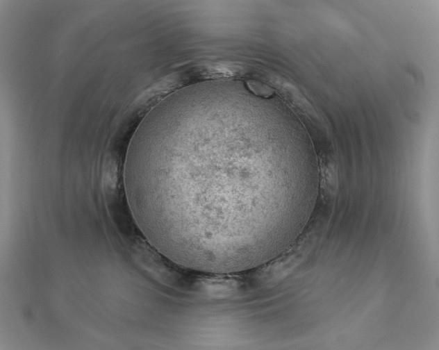 X0000112780331200908271709