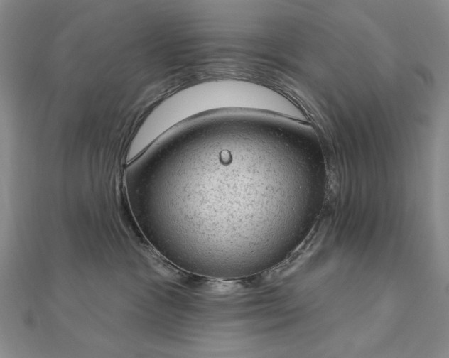 X0000112780333200908271709