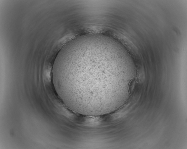 X0000112780334200908271709