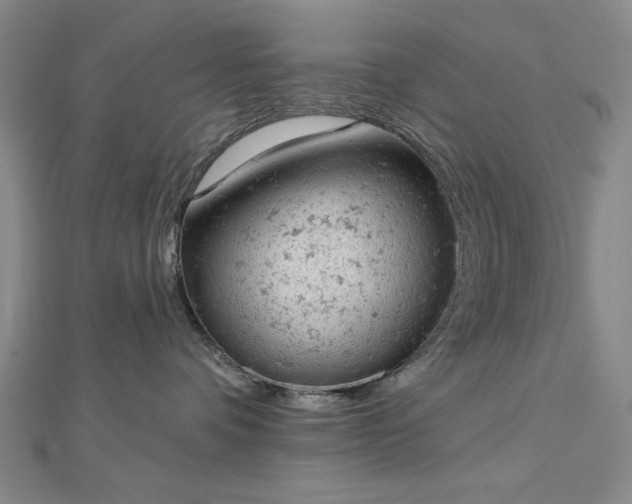 X0000112780336200908271709