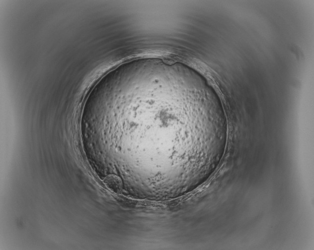 X0000112780337200908271708