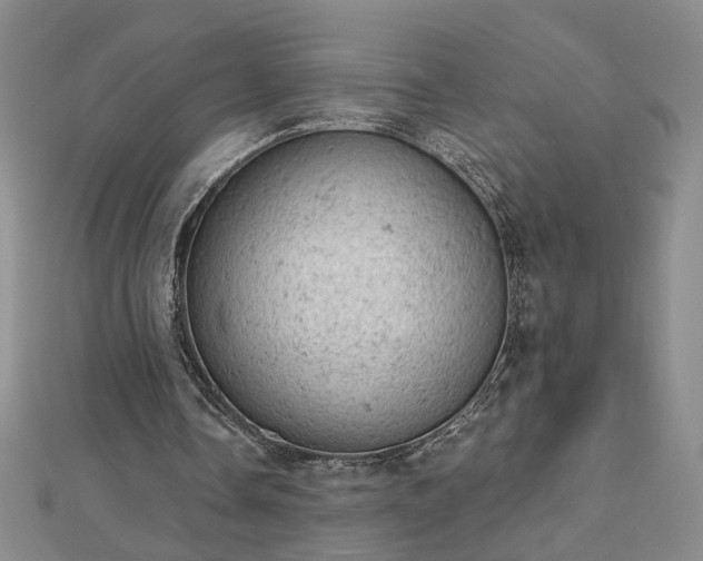 X0000112780338200908271708