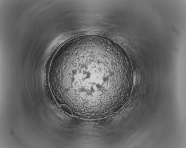 X0000112780339200908271708