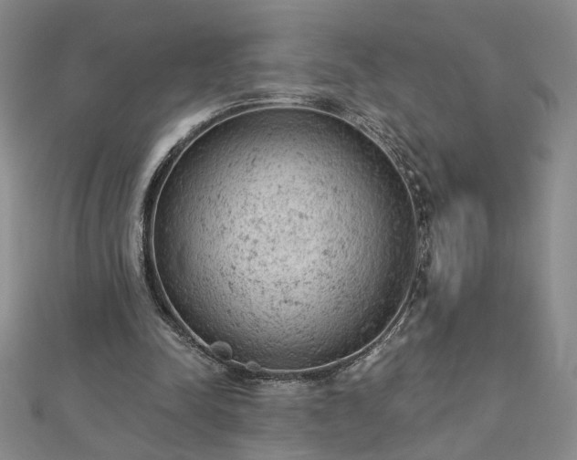 X0000112780342200908271708