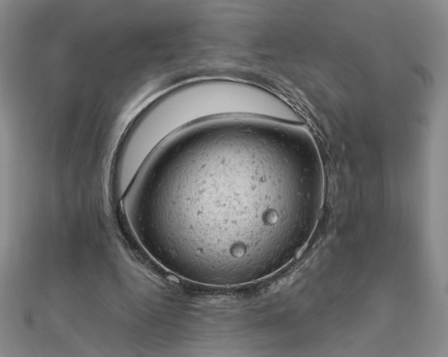 X0000112780344200908271708