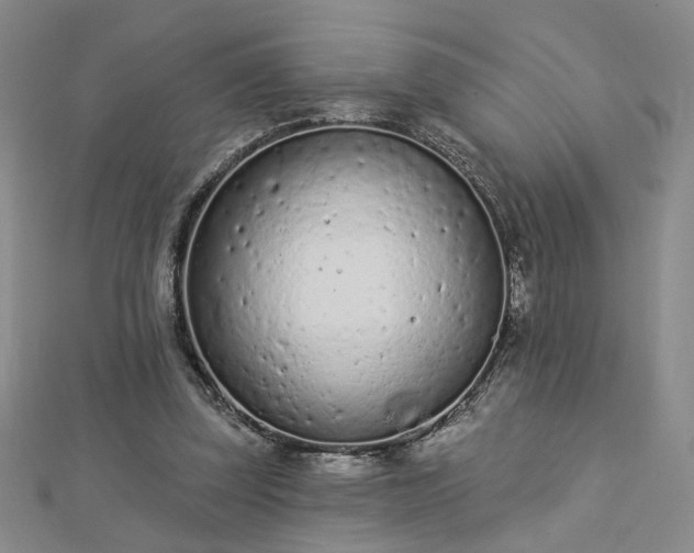 X0000112780347200908271708