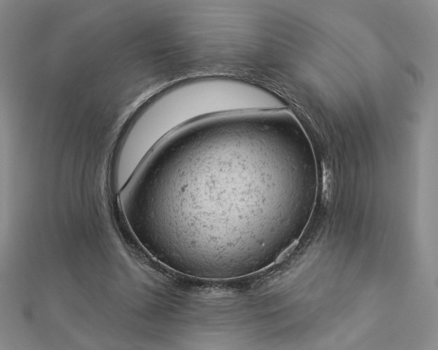 X0000112780348200908271708