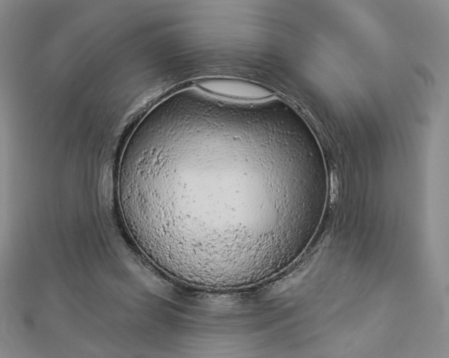 X0000112780349200908271708